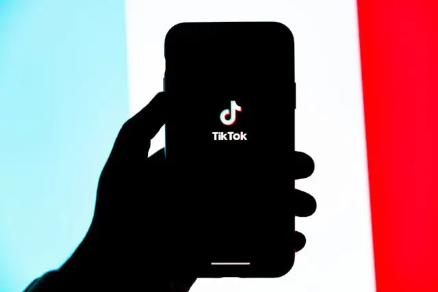 telefono movil mostrando la red social tik tok